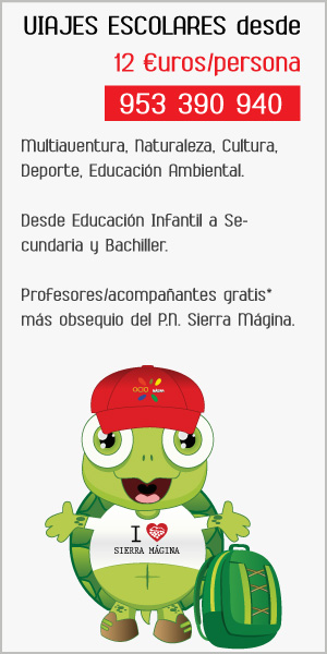 Viajes Escolares